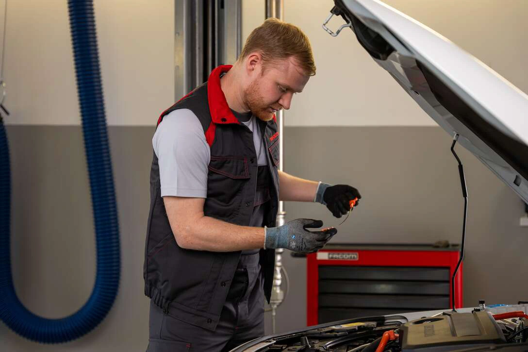 Honda - 8 Year Warranty