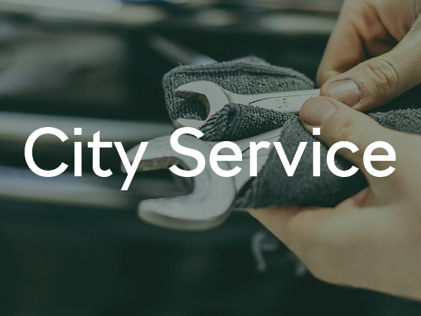 City Service