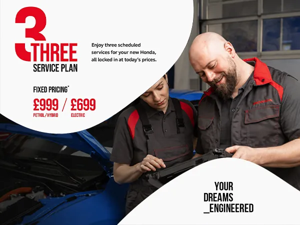THREE Service Plan