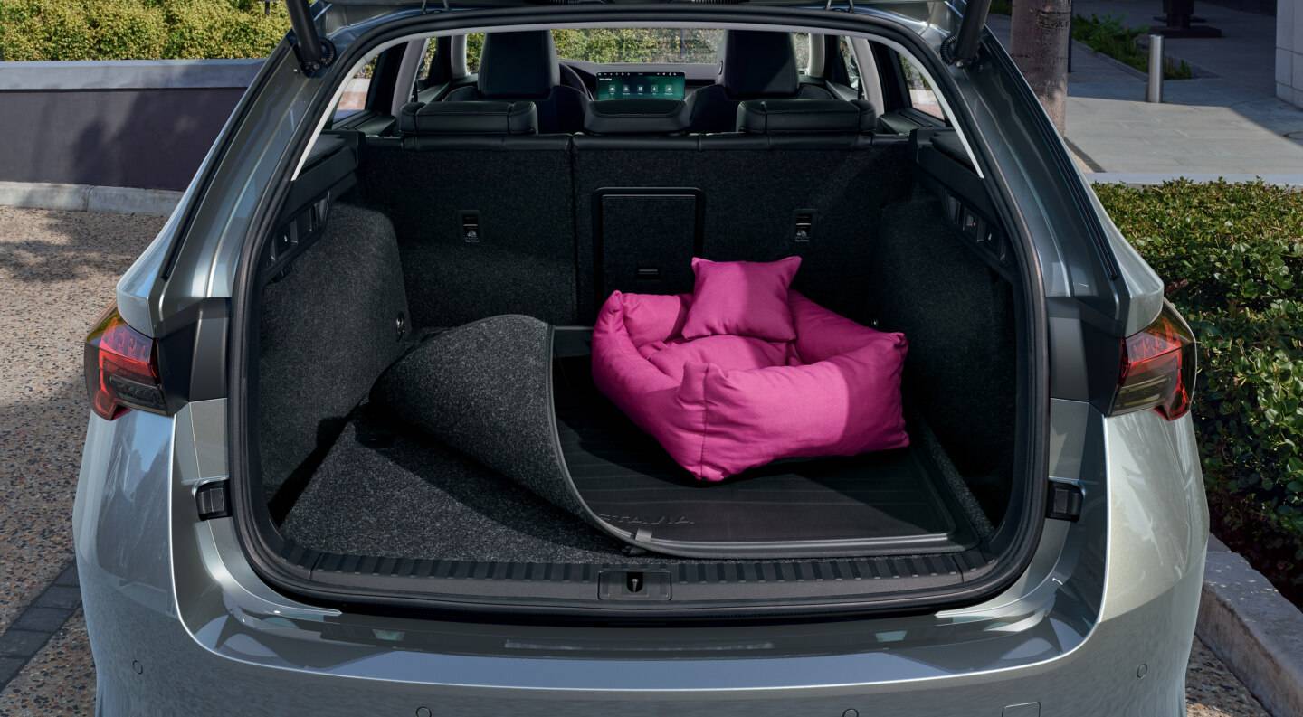 Double-sided carpet in the trunk.
