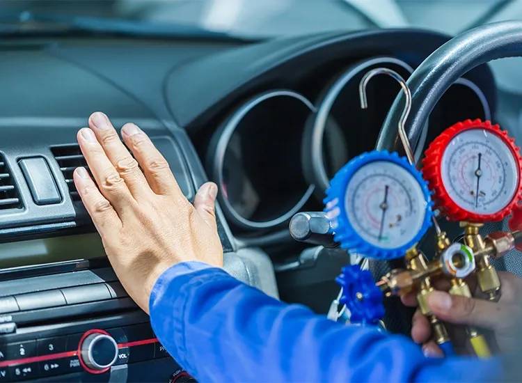 Get Your Suzuki Summer-Ready