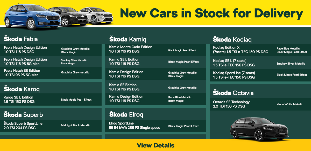 Skoda cars Delivery