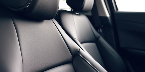 Leather Protection