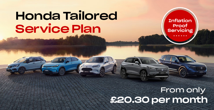 Tailored Service Plan